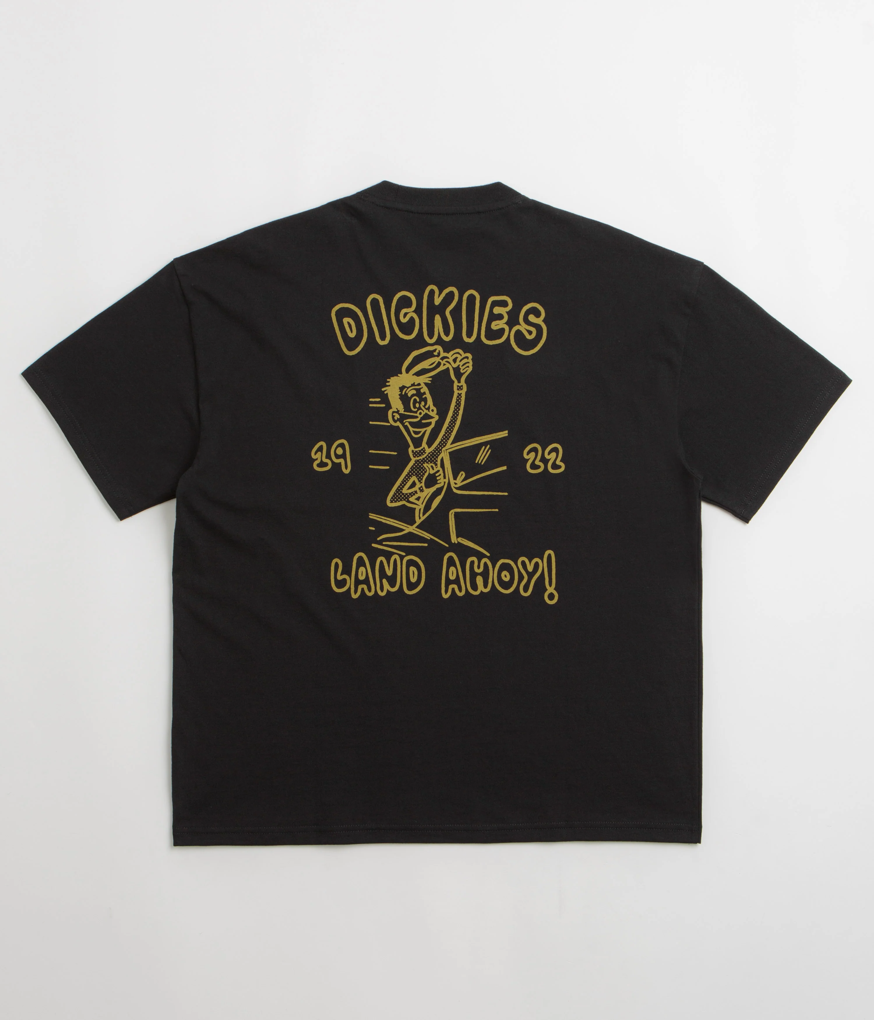 Dickies Decartuville T-Shirt - Black