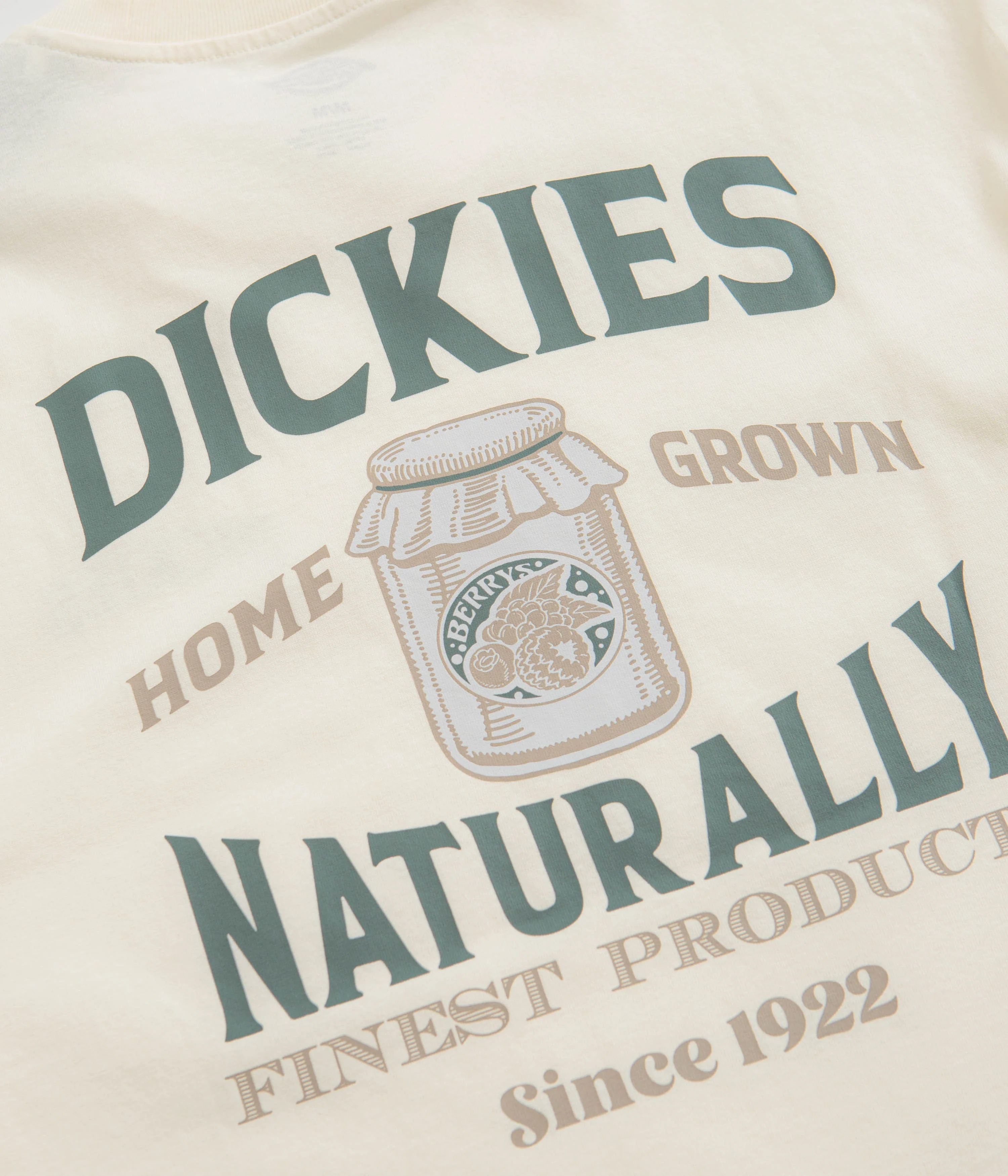 Dickies Elliston T-Shirt - Cloud - Image 5