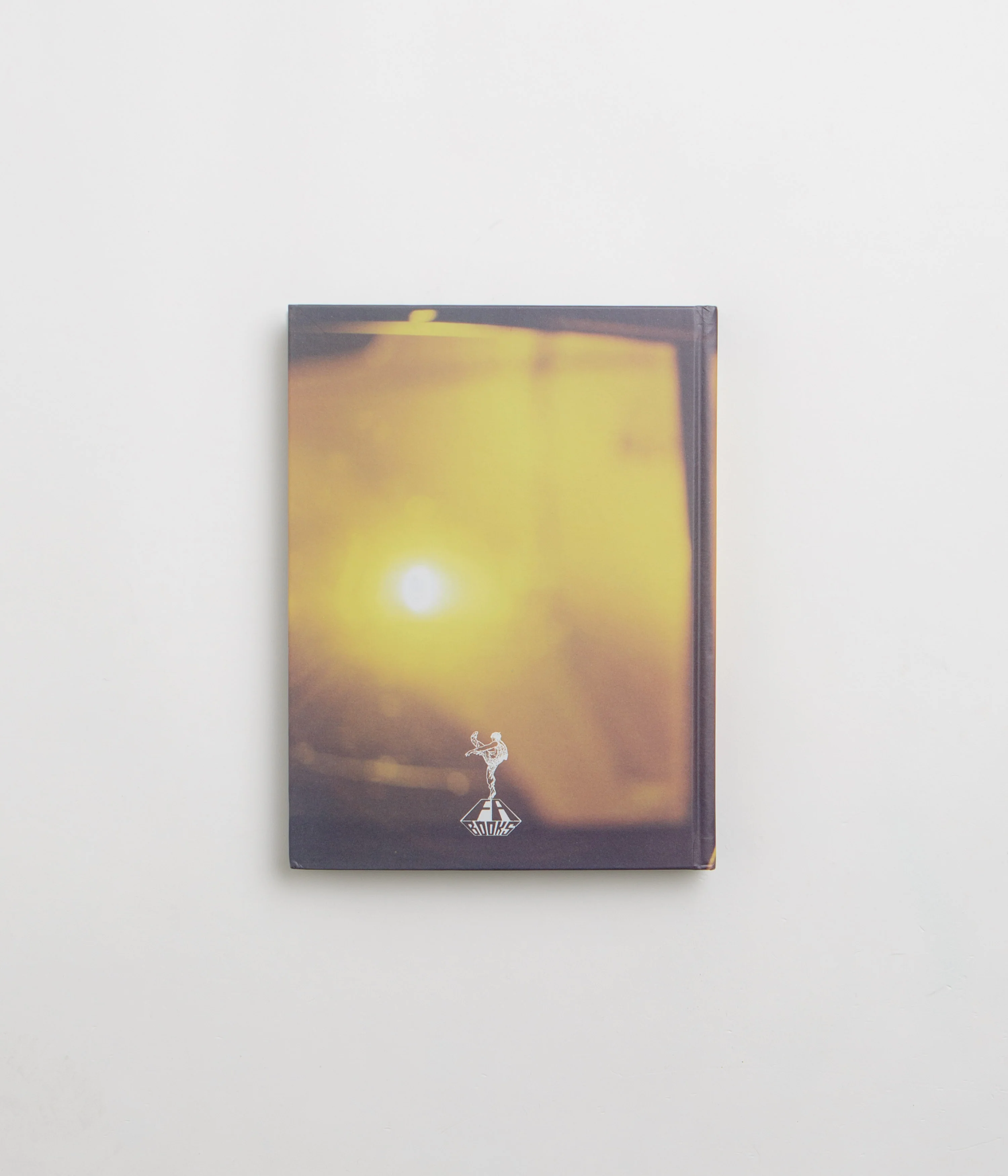 Fucking Awesome Alain Levitt NYC 2000-2005 Book - Karma Sunlight - Image 4