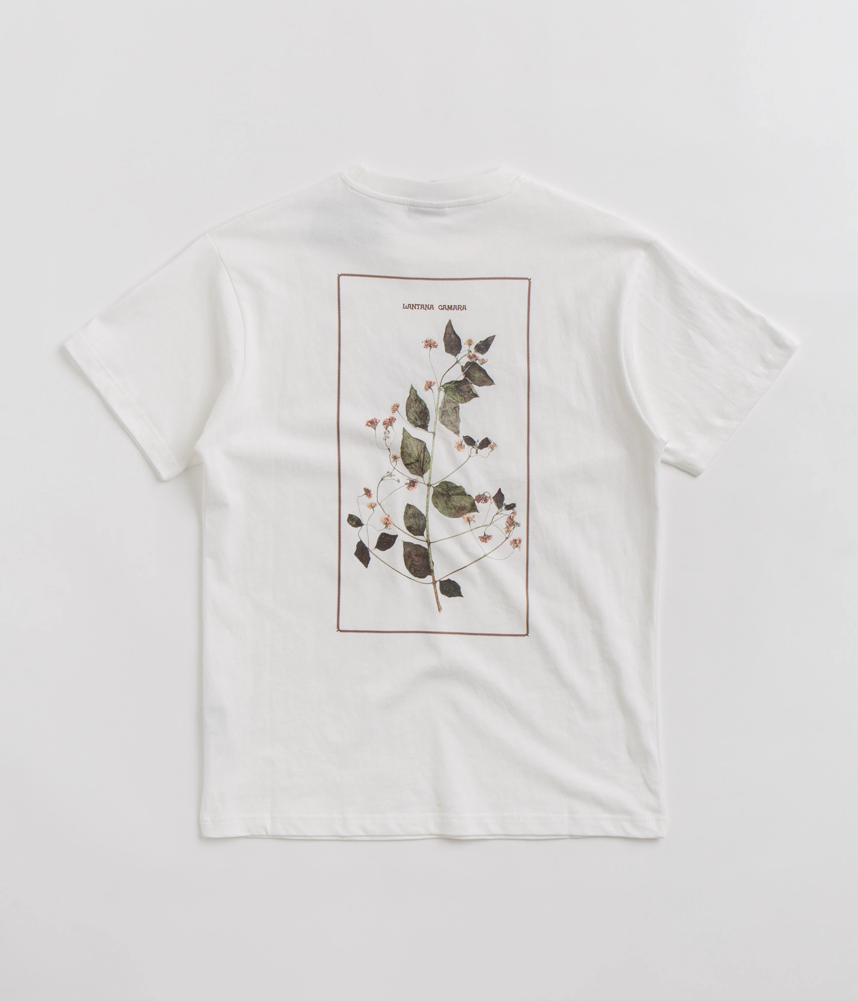 Pass Port Lantana T-Shirt - White
