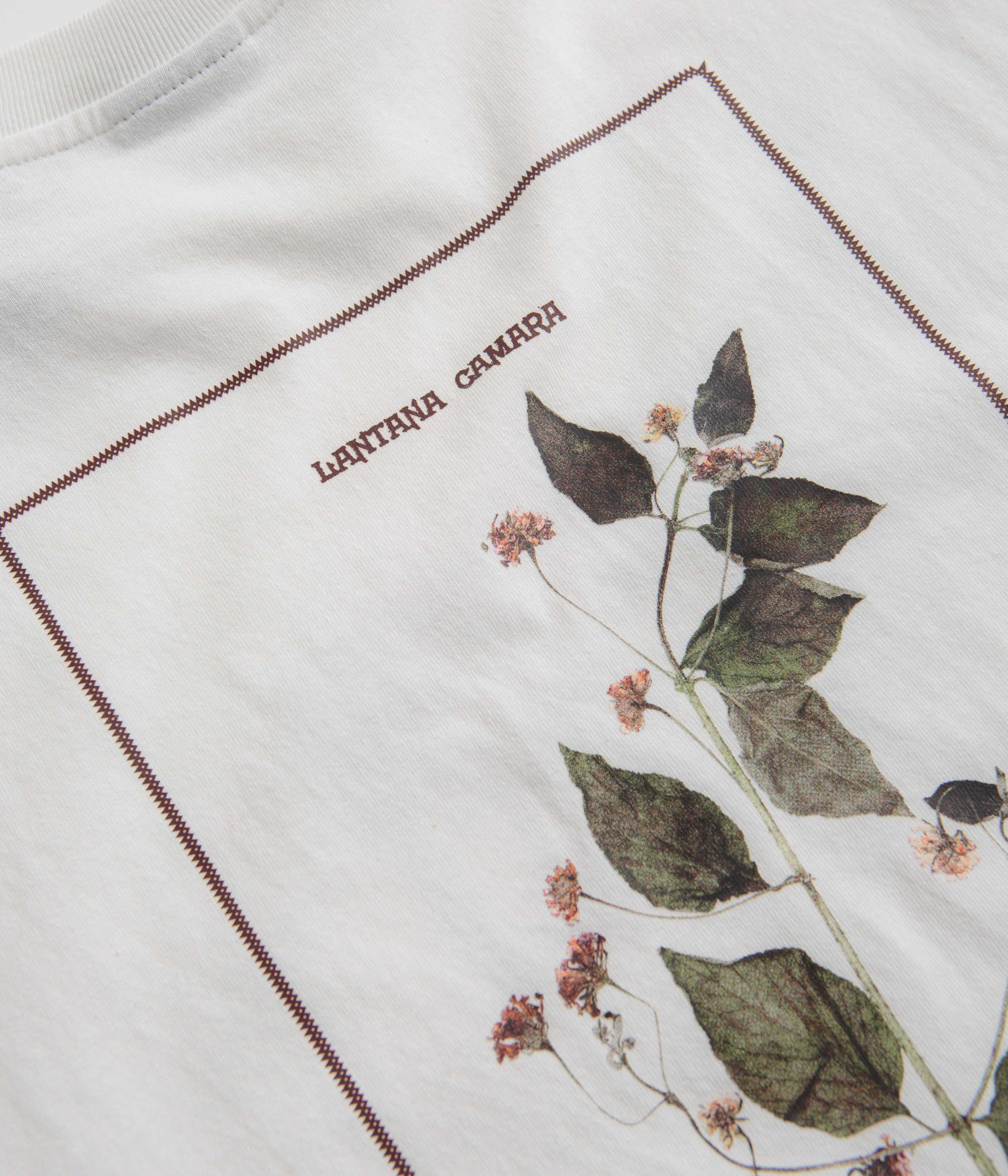 Pass Port Lantana T-Shirt - White - Image 5