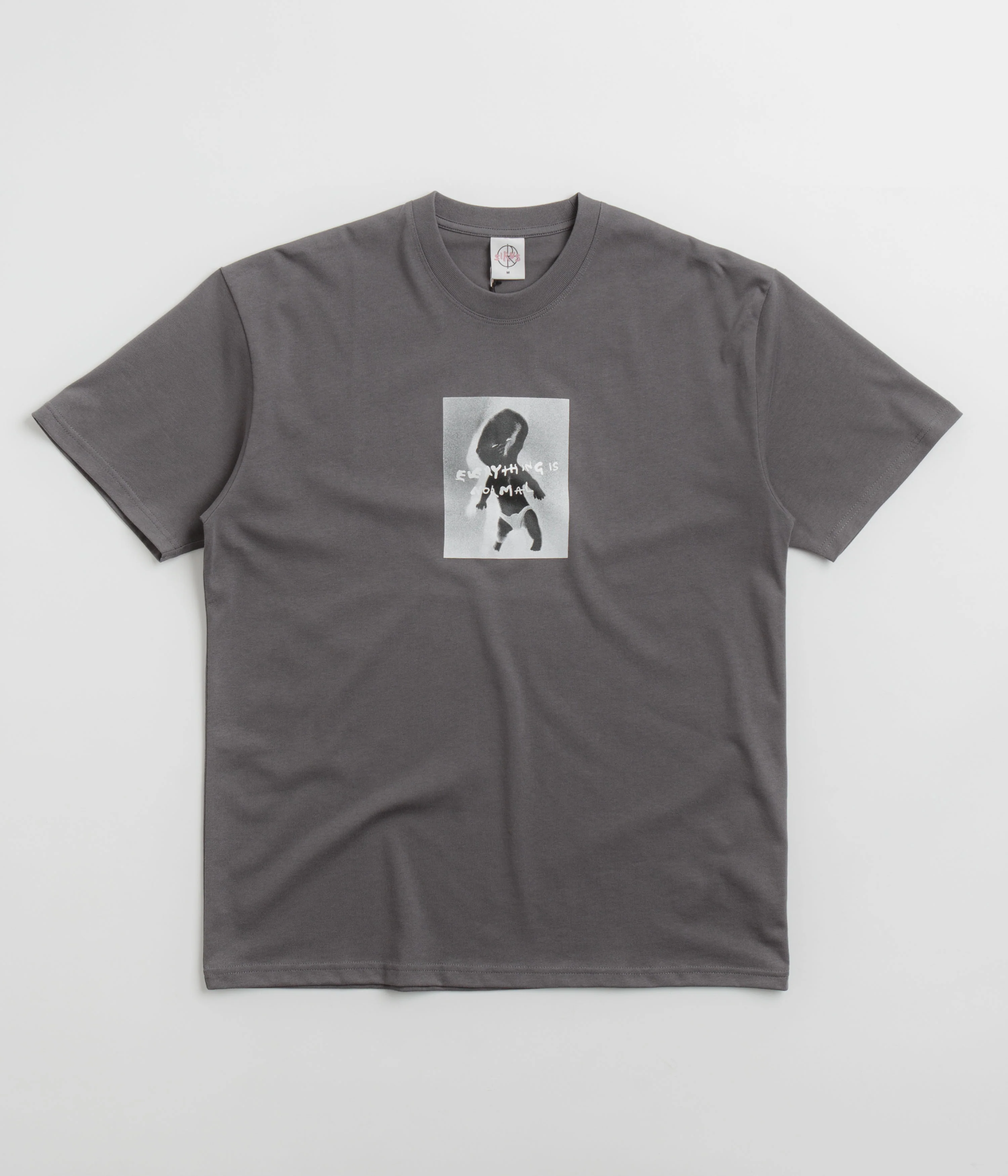 Polar Everything Is Normal T-Shirt - Graphite