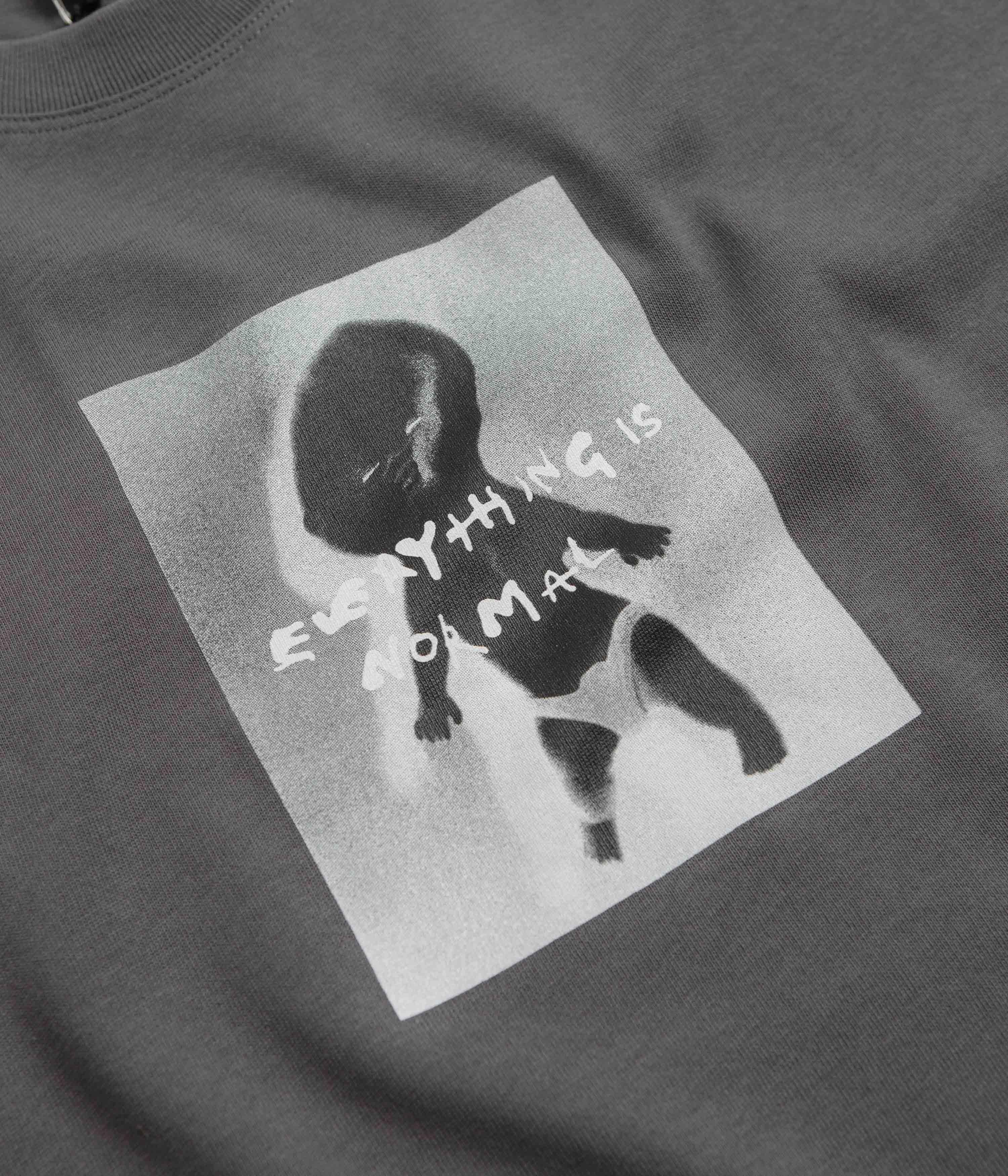 Polar Everything Is Normal T-Shirt - Graphite - Image 2