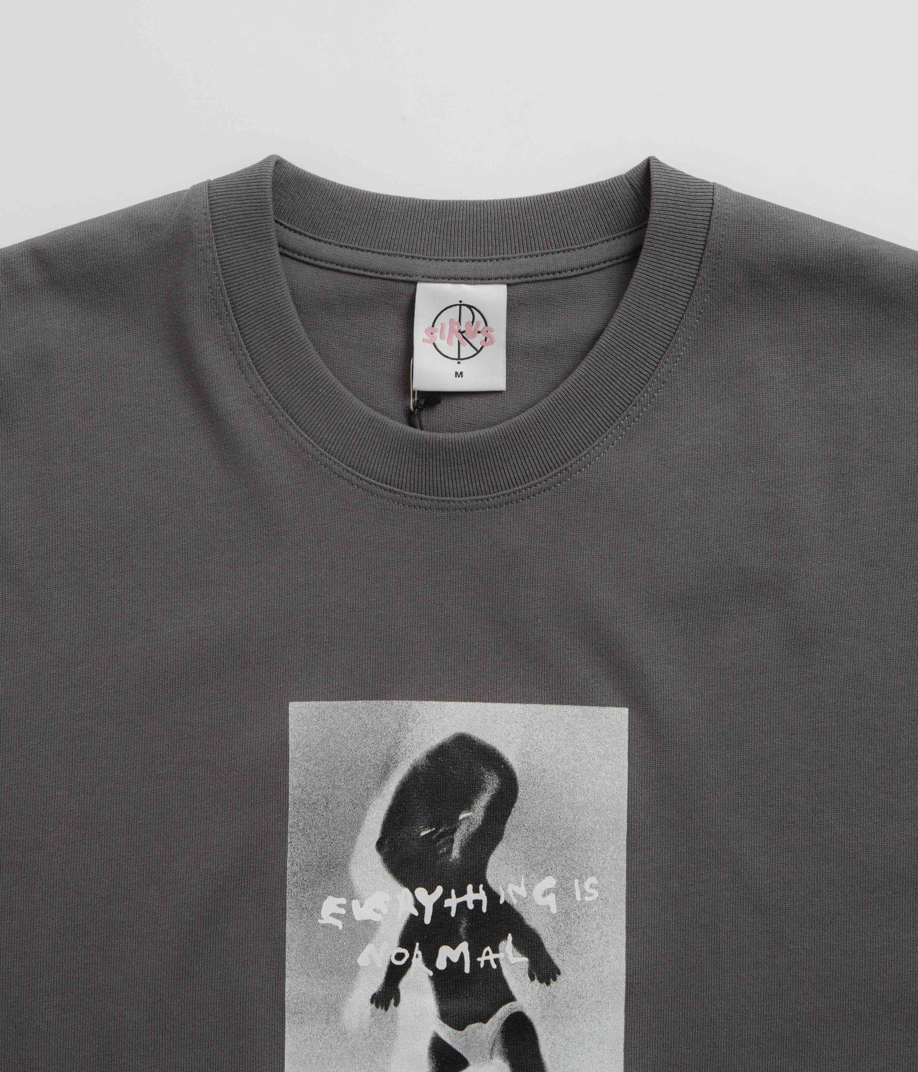 Polar Everything Is Normal T-Shirt - Graphite - Image 3